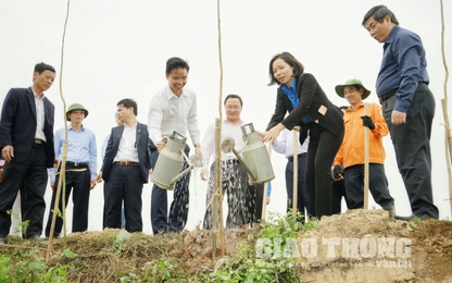 Đoàn TN Bộ GTVT khởi động trồng cây bảo vệ hành lang ATGT đường bộ