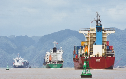 Vượt “sóng thần” Covid-19, hàng hải tăng 54% sản lượng hàng hóa vận chuyển