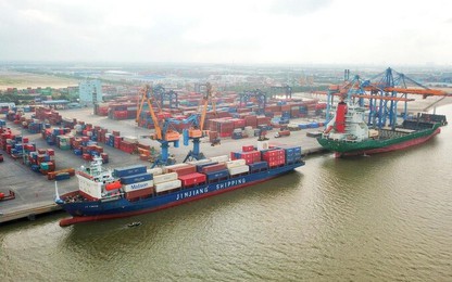 Đề xuất giải pháp bình ổn giá cước vận tải hàng hóa bằng đường biển
