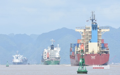 Bàn giải pháp nâng tầm đội tàu biển quốc tế của Việt Nam