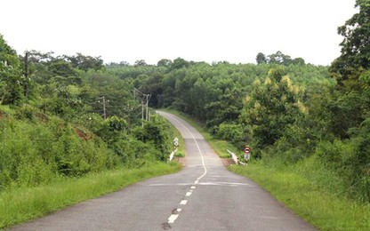 Hai phương án đầu tư tuyến đường kết nổi tỉnh Bình Phước và Đồng Nai