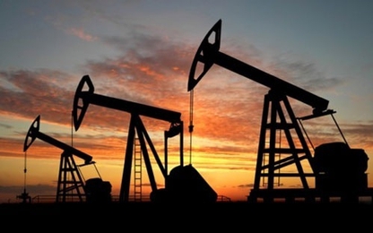 Giá dầu nằm sát mức đáy 6 năm