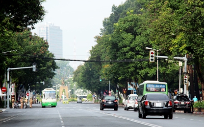 74 cây ở trung tâm Sài Gòn có thể bị chặt để xây metro