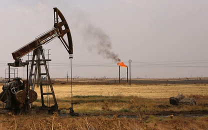 IS đánh cắp 50 triệu thùng dầu của Syria