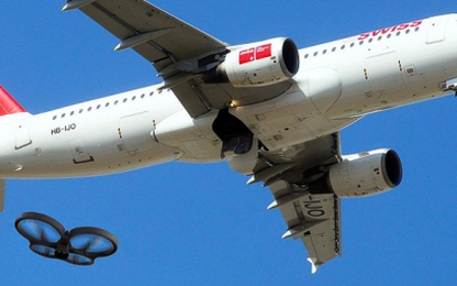 Máy bay va chạm với động vật nhiều hơn drone