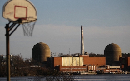 Nhà máy điện hạt nhân bị dừng hoạt động do… phân chim