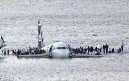 Con chim khiến 26 hành khách bị treo ngược trên tàu lượn siêu tốc