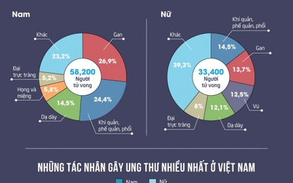 Việt Nam đứng hàng đầu thế giới về số người chết vì ung thư?