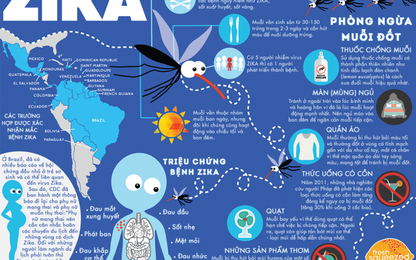 Virus Zika - Triệu chứng và cách phòng ngừa