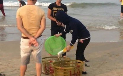 Dân Quảng Bình đổ xô vớt cá biển bán cho thương lái