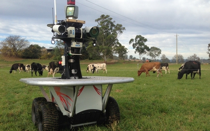 Nông dân chăn bò sẽ lo ngại bị robot cướp mất việc