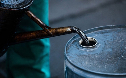 Mức dầu mang bán 5 tháng đầu năm chưa đạt 30% kế hoạch