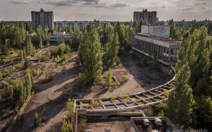 Lá cây ở khu vực Chernobyl không phân huỷ sẽ sớm trở thành thảm hoạ