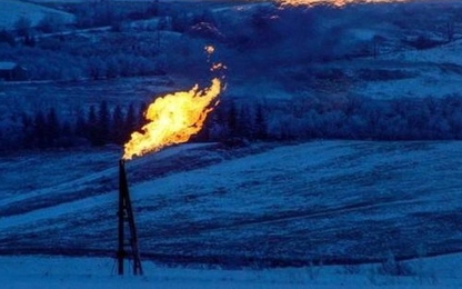 Giá dầu tăng 9,1% trong tuần
