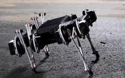 Robot có thể nhảy tung tăng như cún con, leo rào và mở cửa