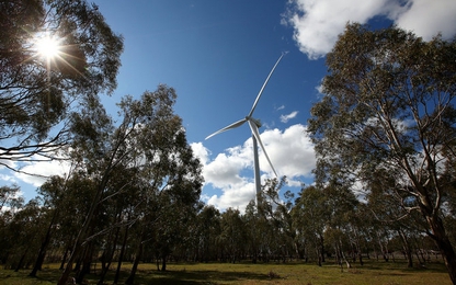 Cần bao nhiêu tua-bin gió để đáp ứng nhu cầu điện năng thế giới?