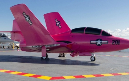 Máy bay phản lực của Hải quân Mỹ được sơn màu hồng độc nhất