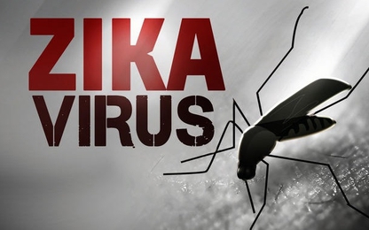 Phần lớn người nhiễm virus Zika không có triệu chứng