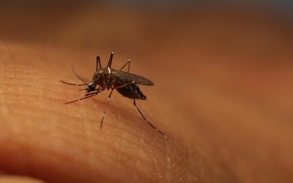 Người đầu tiên ở Bà Rịa - Vũng Tàu nhiễm virus Zika