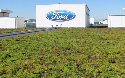 Ford đã biến mái nhà máy của mình thành thảm sinh vật sống độc đáo
