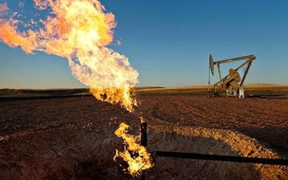 Giá dầu tiếp đáy 1 tuần sau tín hiệu của OPEC