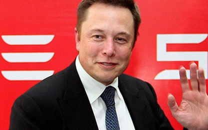 Elon Musk cho thấy ông đích thực là kẻ sinh tồn trên thương trường
