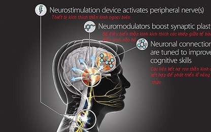 DARPA: Kế hoạch "hack" não người để chúng ta có thể tải lên kĩ năng