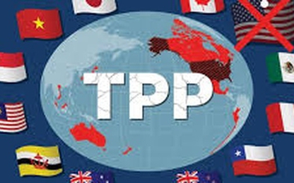 Từ Washington sang Tokyo, TPP 2.0 không Mỹ, có Việt Nam ngày càng rõ nét