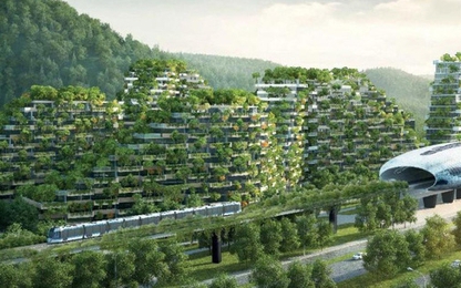Trung Quốc bắt đầu xây dựng Thành phố cây xanh có tới hàng triệu cây