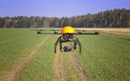 Công ty Anh nuôi tham vọng trồng 1 tỷ cây xanh nhờ drone