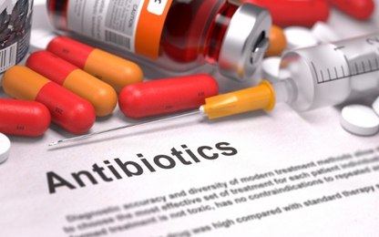 Vì sao sốt xuất huyết không được uống kháng sinh?