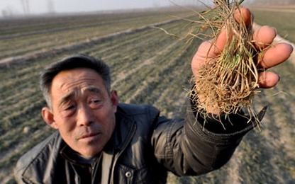 Trung Quốc sẽ làm thay đổi toàn bộ ngành nông nghiệp thế giới?