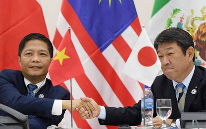 Các nước và Việt Nam gặp khó khăn gì khi Mỹ rút khỏi TPP?