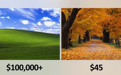 Bức ảnh nền huyền thoại của Windows XP giá bao nhiêu?
