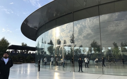Nhân viên tại trụ sở mới của Apple liên tục "lao đầu" vào kính