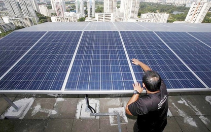 Microsoft đang mua điện năng lượng mặt trời trên các mái nhà tại Singapore