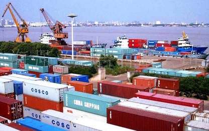Xuất nhập khẩu tháng 2 giảm gần 30%