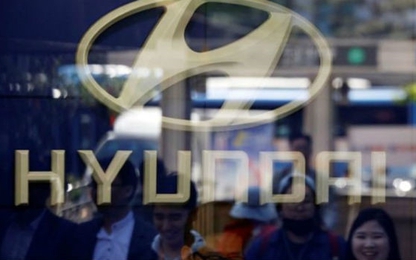 Hyundai, Kia bị Mỹ điều tra lỗi túi khí, giá cổ phiếu lao dốc