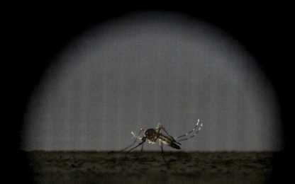 Máy phát hiện muỗi từ xa 2km