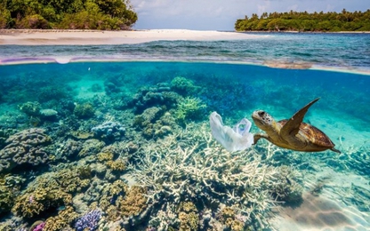Tìm thấy hơn 3.500 mảnh nhựa ở nơi sâu nhất đại dương