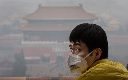 Ô nhiễm không khí làm tăng nguy cơ phạm tội do căng thẳng