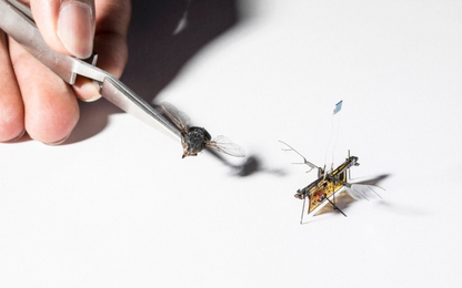Drone nhỏ bằng con ruồi đã có thể đập cánh với nguồn điện từ laser