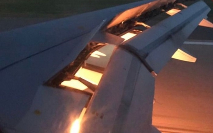 Máy bay chở đội tuyển World Cup Ả Rập Saudi bắt lửa trên không