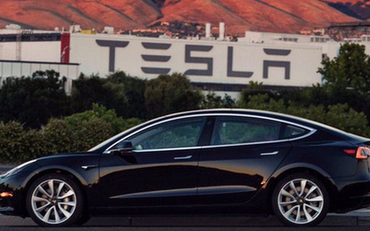 Elon Musk hứng khởi về tương lai của Tesla, cổ phiếu ngay tăng vọt 11%