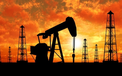 Giá dầu sụt thê thảm