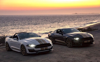 Ford Mustang mạnh mẽ với bản độ Shelby GT giá 1,42 tỷ