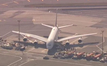 100 hành khách ngã bệnh, máy bay Emirates bị cách ly ở sân bay Mỹ