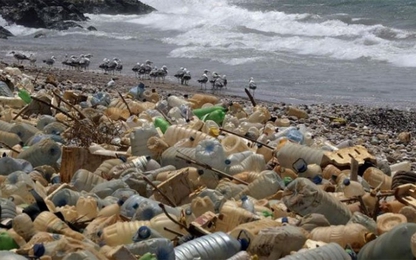 Tạo ra nhựa có thể phân rã trong nước biển