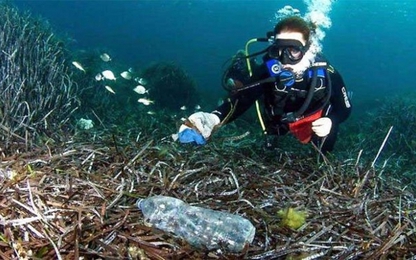 99,99% rác nhựa trên biển hóa ra nằm sâu dưới đại dương.