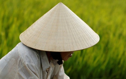 Nikkei chỉ ra lý do khiến nông nghiệp Đông Nam Á trì trệ
